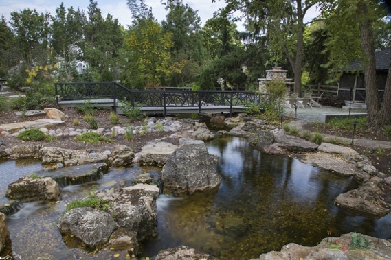 Images of backyard ponds