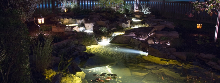 Water Garden Store Pumps