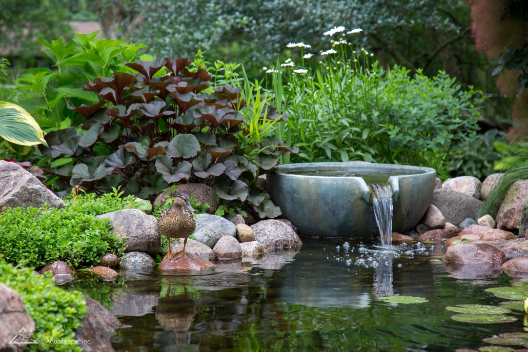 water garden ponds