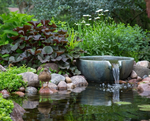 Water Garden Tools