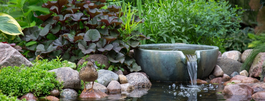 Water Garden Tools