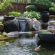 water garden pond pump