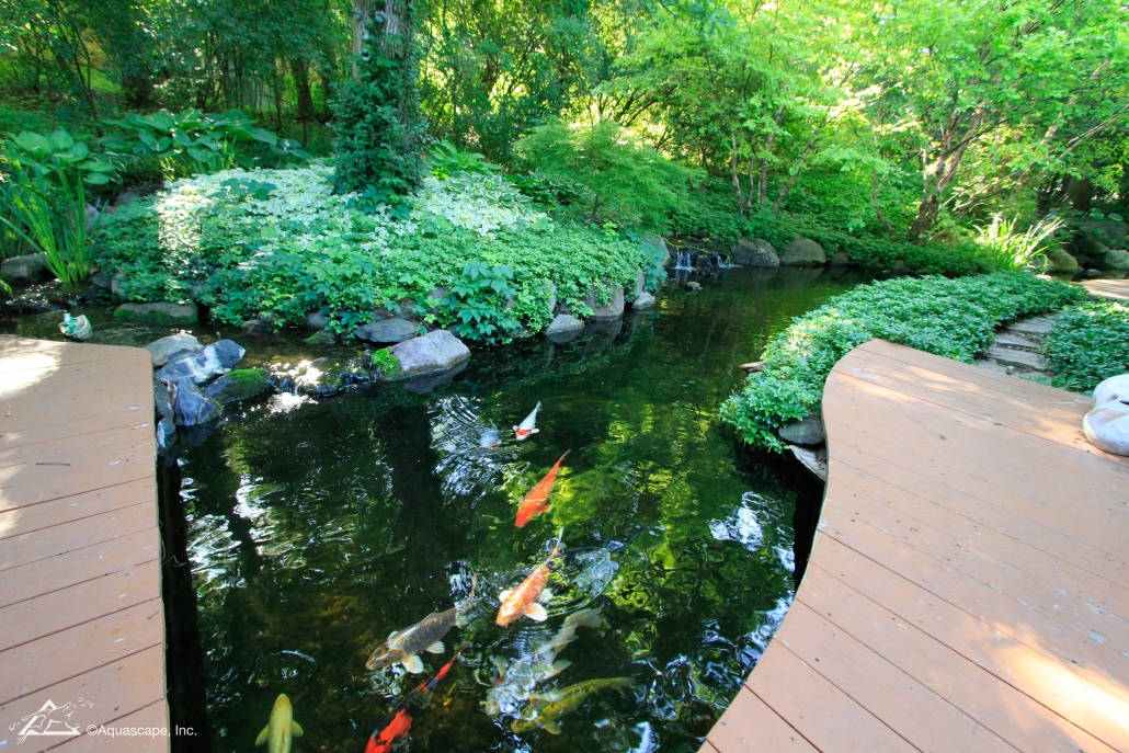 water garden construction