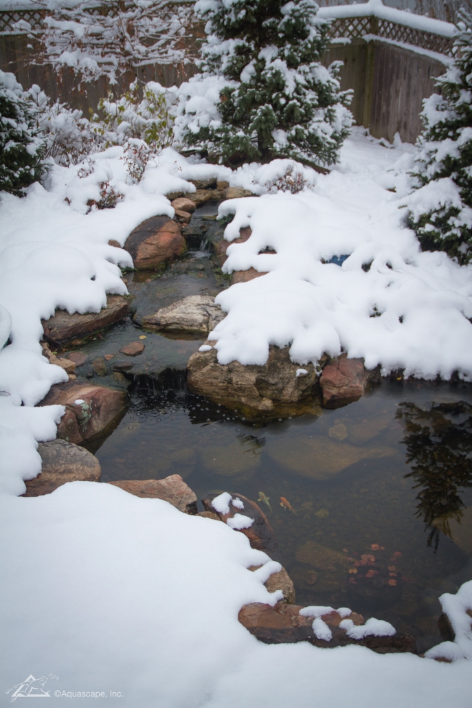 Winterizing Your Pond and Water Garden: Maintenance Tips