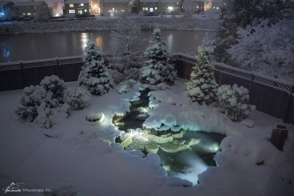 seasonal pond care