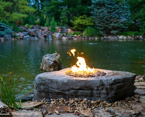 outdoors water garden