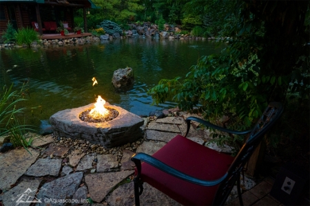 The Art of Aquascaping: Merging Nature and Design