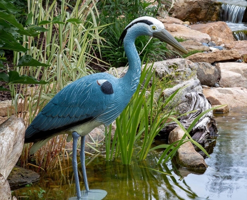 Blue Heron Decoy