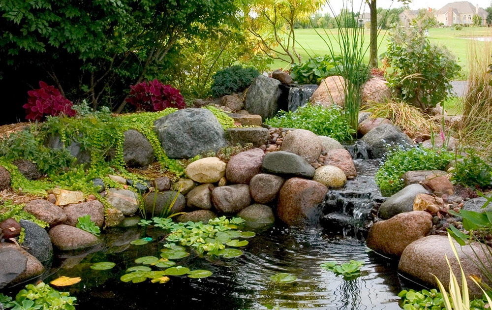 koi pond contractors near me