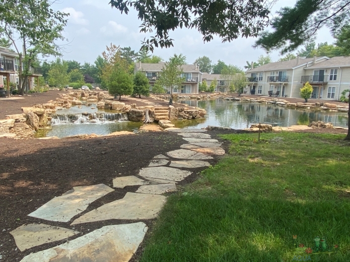 Water Garden Edges: Rocks, Gravel, or Plants?