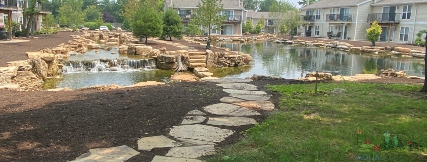 Water Garden Edges: Rocks, Gravel, or Plants?