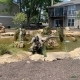 Waterfall and Stream Installation