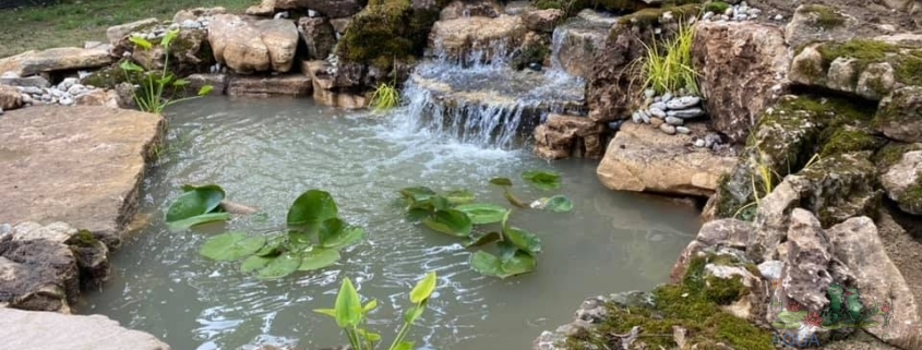 Aquascape Seasonal Maintenance
