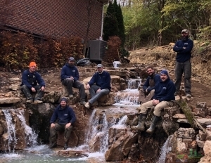 Meyer Aquascapes