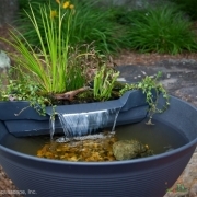 Self Watering Planters