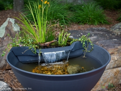 Self Watering Planters