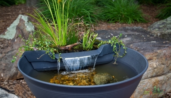 Self Watering Planters