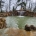 Luxury Aquatic Landscaping