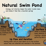 Natural Swimming Pools