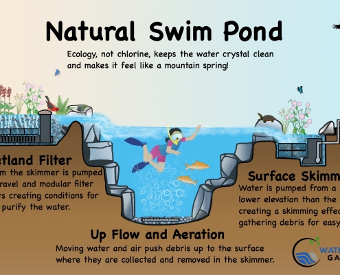 Natural Swimming Pools