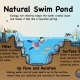 Natural Swimming Pools