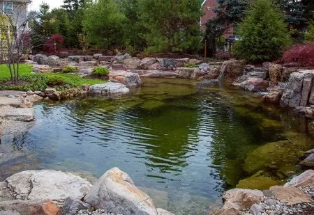 Water Garden Ecosystem