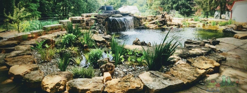 Commercial Water Garden Design