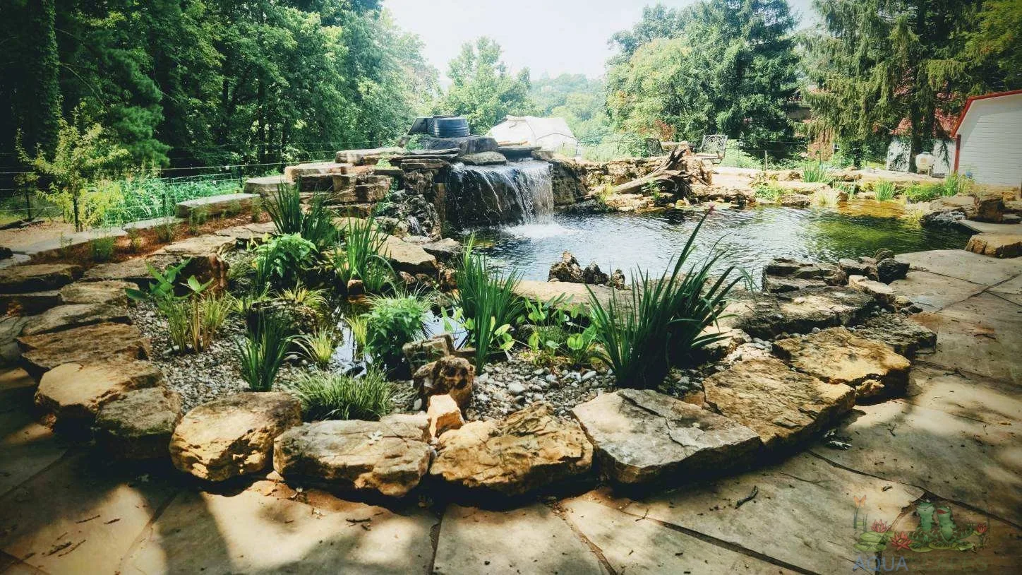 Commercial Water Garden Design