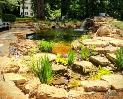 Premium Water Garden Construction