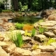 Premium Water Garden Construction