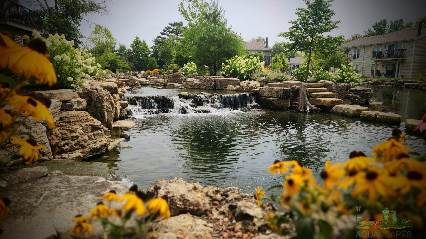 Attracting Wildlife to Your Water Garden