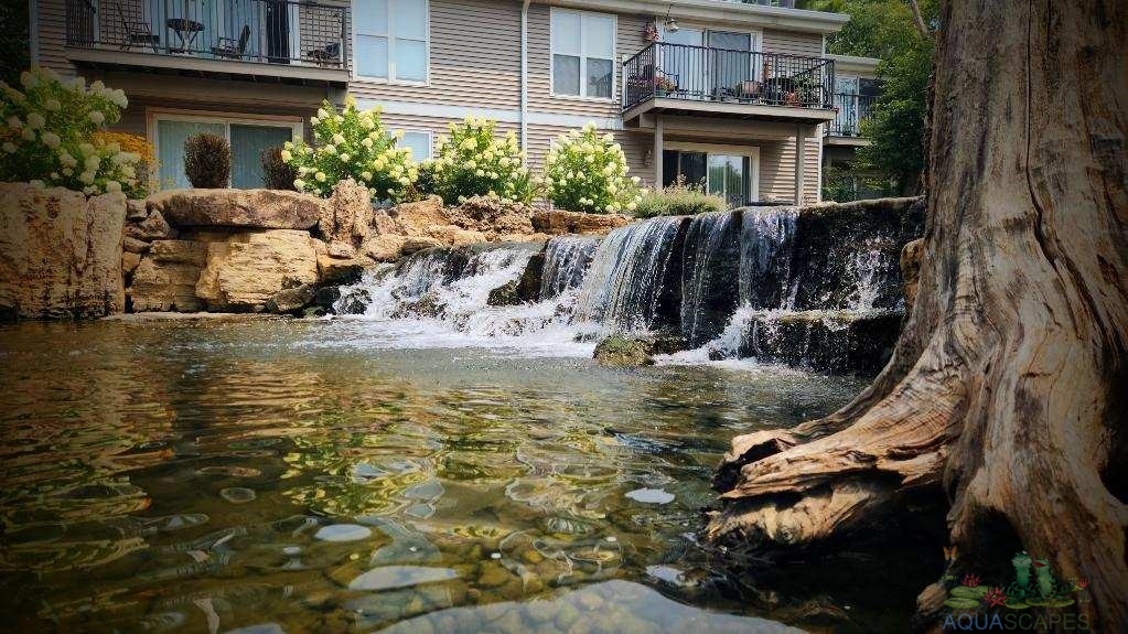 Premium Water Garden Construction