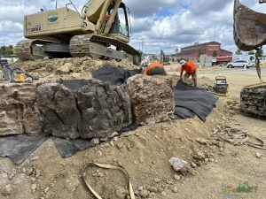 Meyer Aquascapes Water Garden Installation