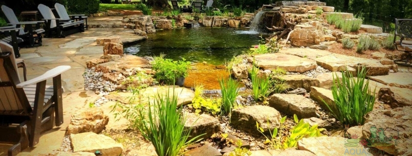 10 Common Pond Problems and Solutions