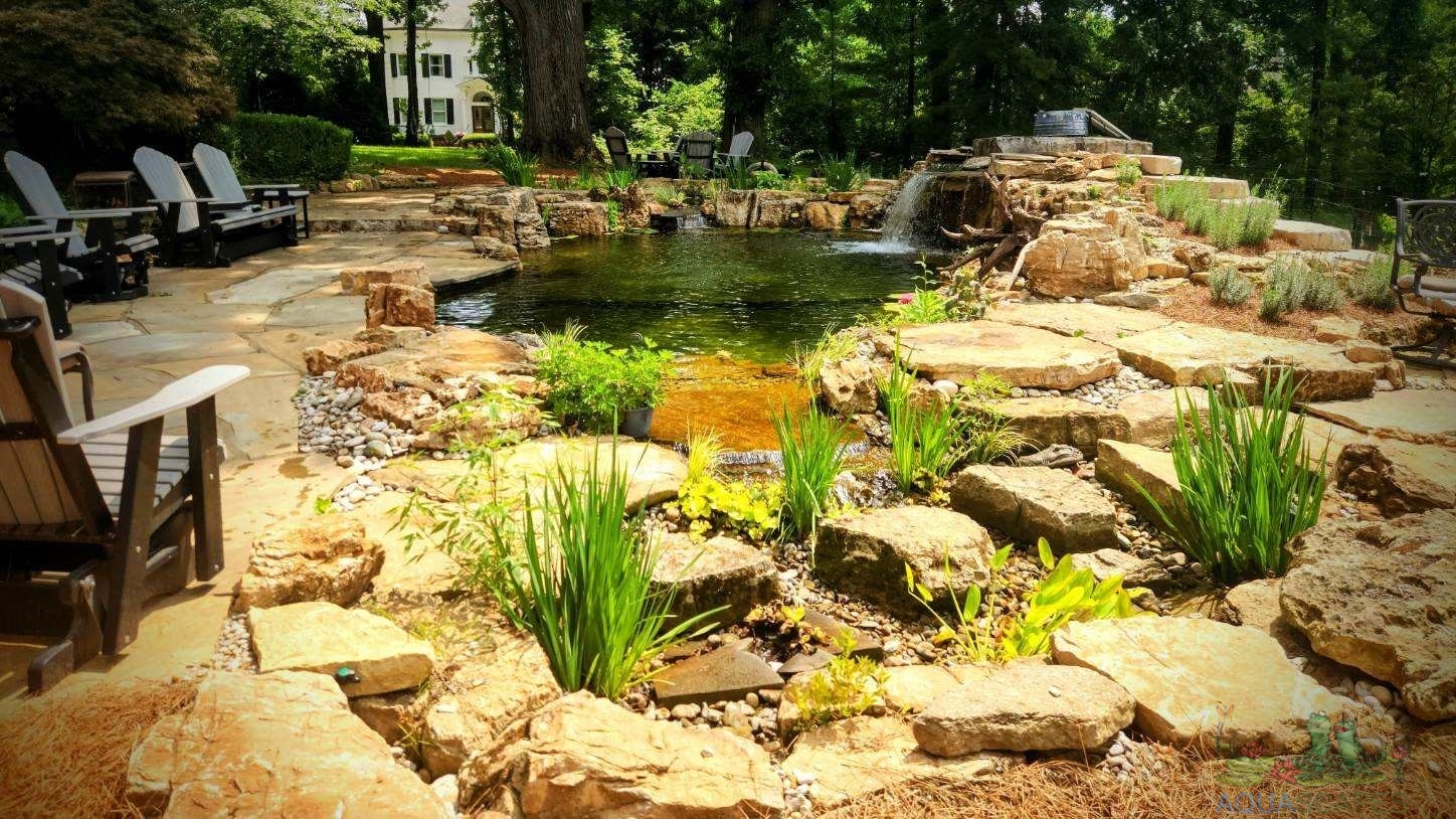 10 Common Pond Problems and Solutions
