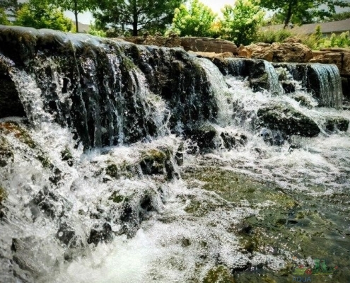 Commercial Water Garden Design