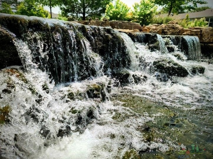 Commercial Water Garden Design