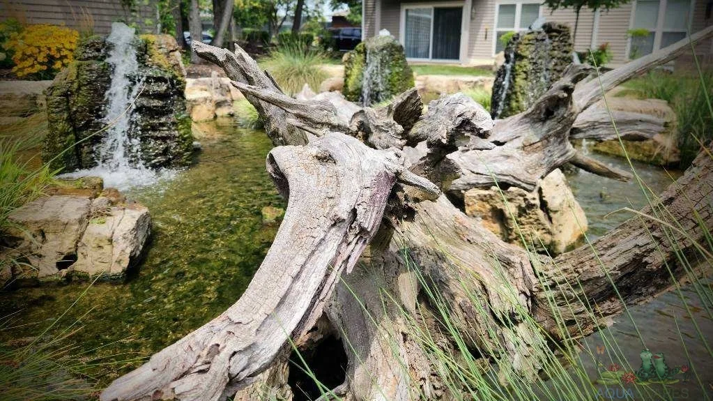 Water Garden Design Ideas