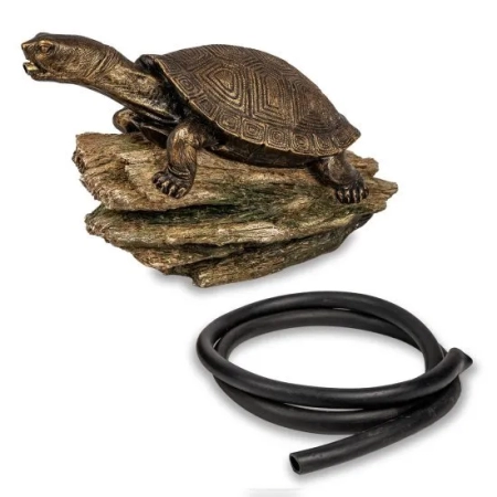 Single Turtle on Log - Image 3