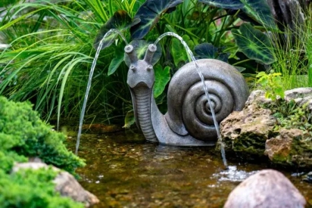Water Garden Design Ideas