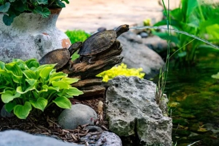 Double Turtle on Log Water Spitter - Image 2
