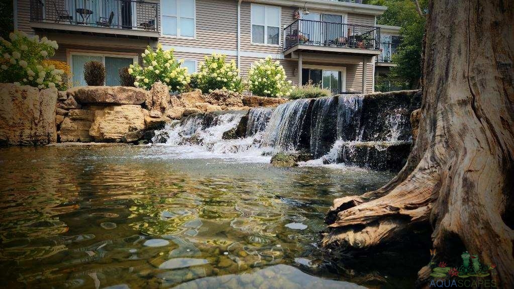 Water Garden Designs, Outdoor Natural Swimming Pool