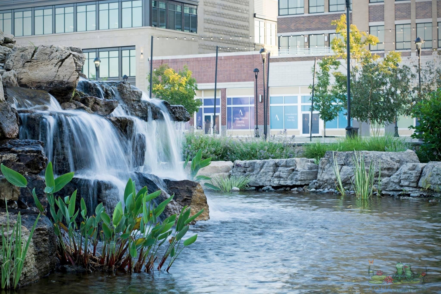 How to Choose the Best Pond Installation Services Near You Aquascapes