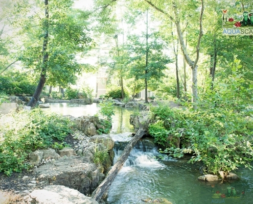 Best Rocks for Water Gardens: Types & Benefits