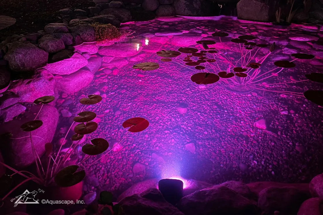 Aquascape Color-Changing Wide-Angle Light 11-Watt - Image 3