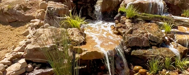 Aquascape Fall Maintenance Services
