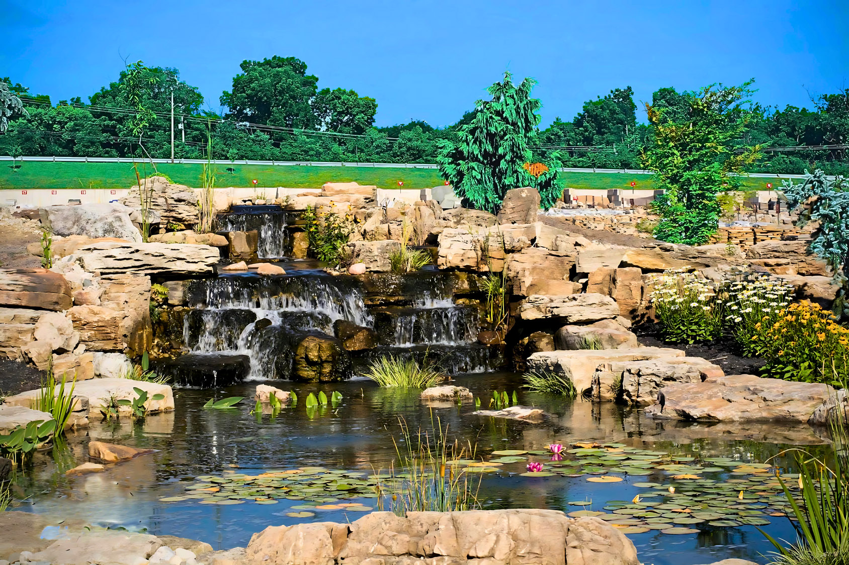 Aquascapes Project 1