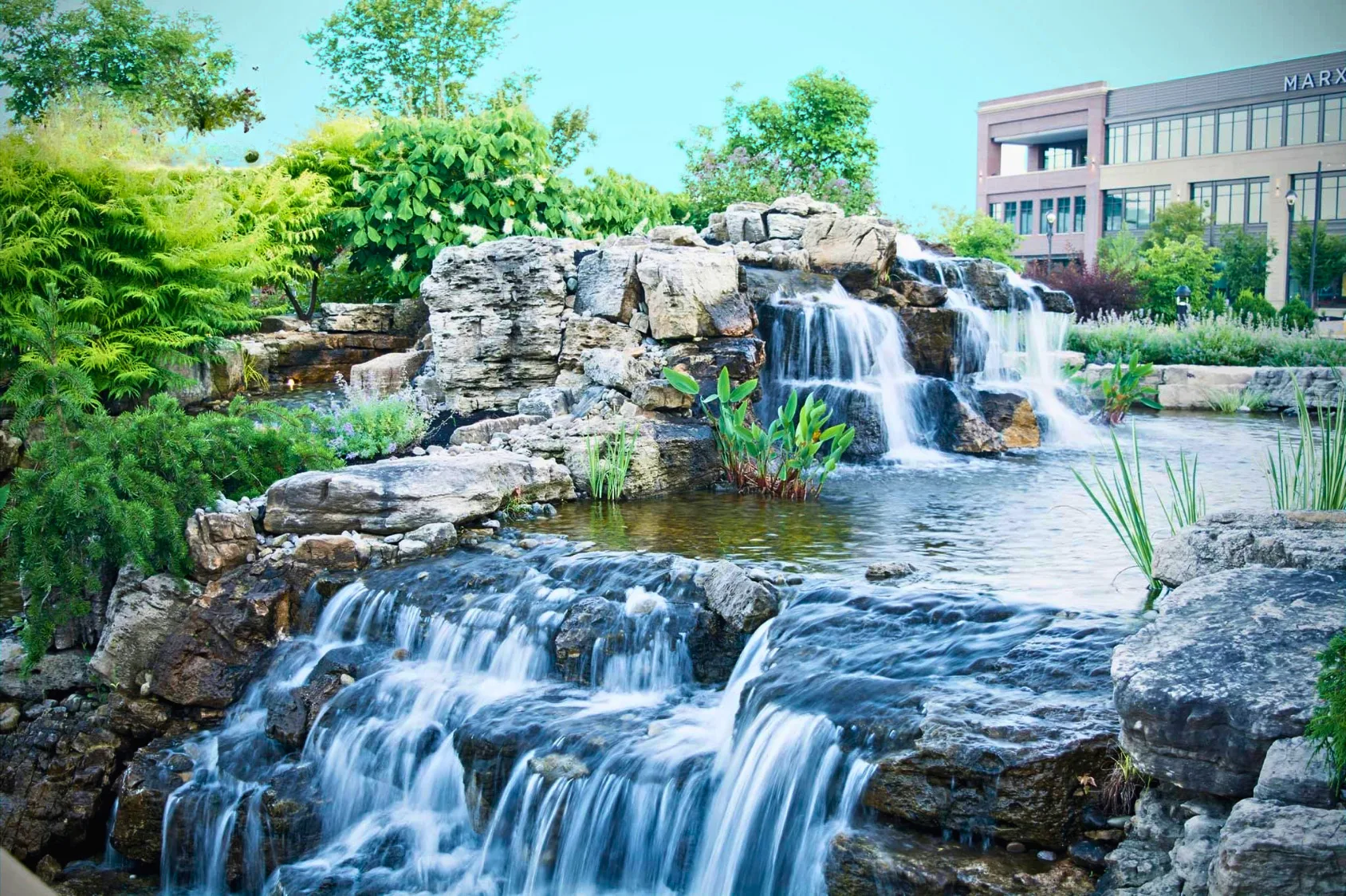 meyer aquascapes, recent installation