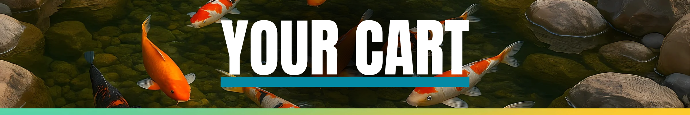 Aquascapes Header