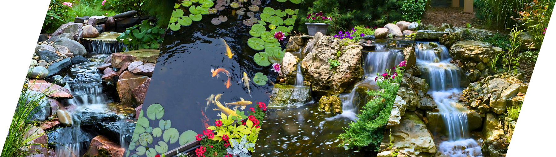 Aquascape Scenery Top